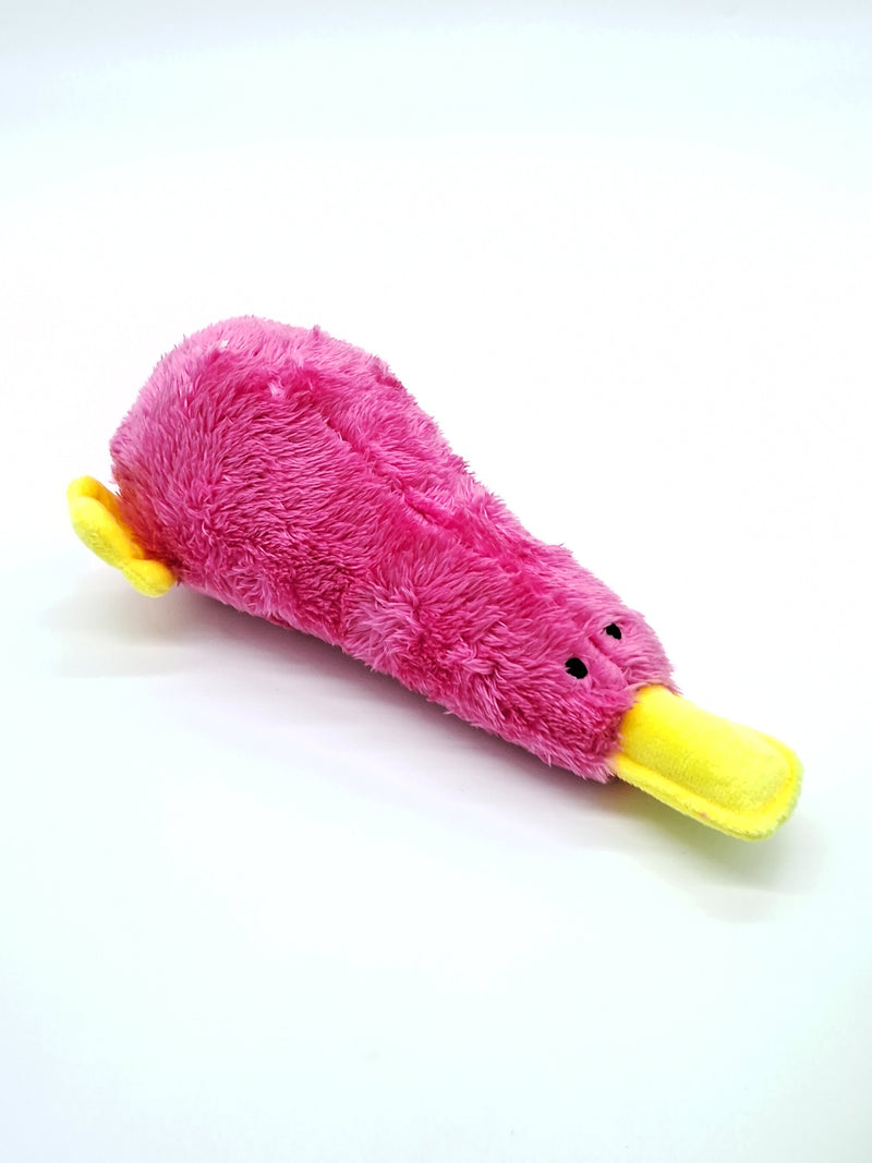Platz the Platypus-Dog Toy-BIG FRENCHIES-Toys N Treats Box