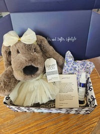 Xander Stuffed Dog Gift Set - With Clothing & More
