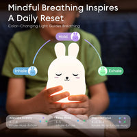 Breathing Pal 'Bonnie' The Bunny - BIG FRENCHIES
