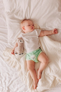 Nighttime Potty Training Underwear