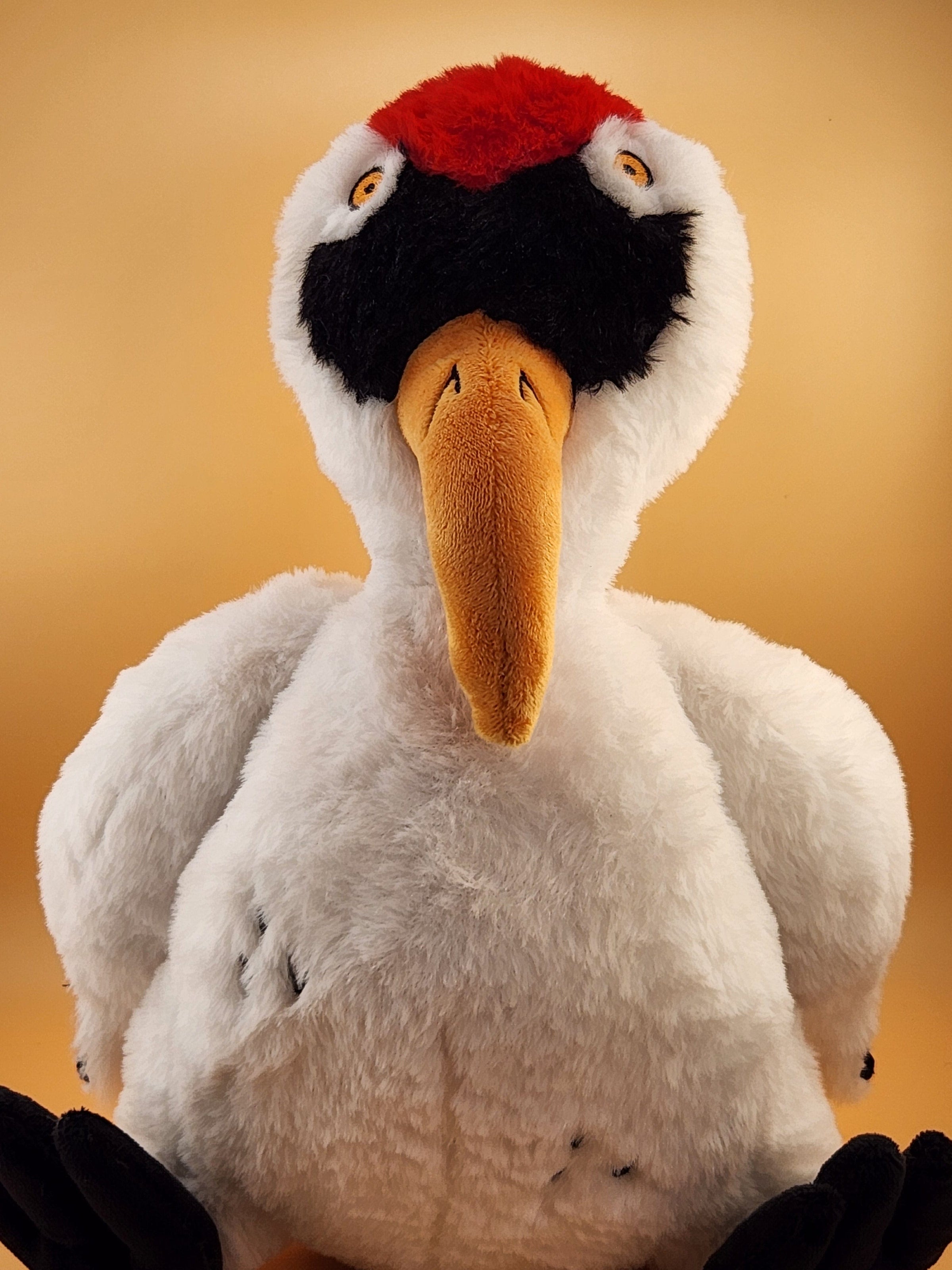 Wayne the Whooping Crane