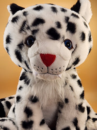 Tashi the Snow Leopard