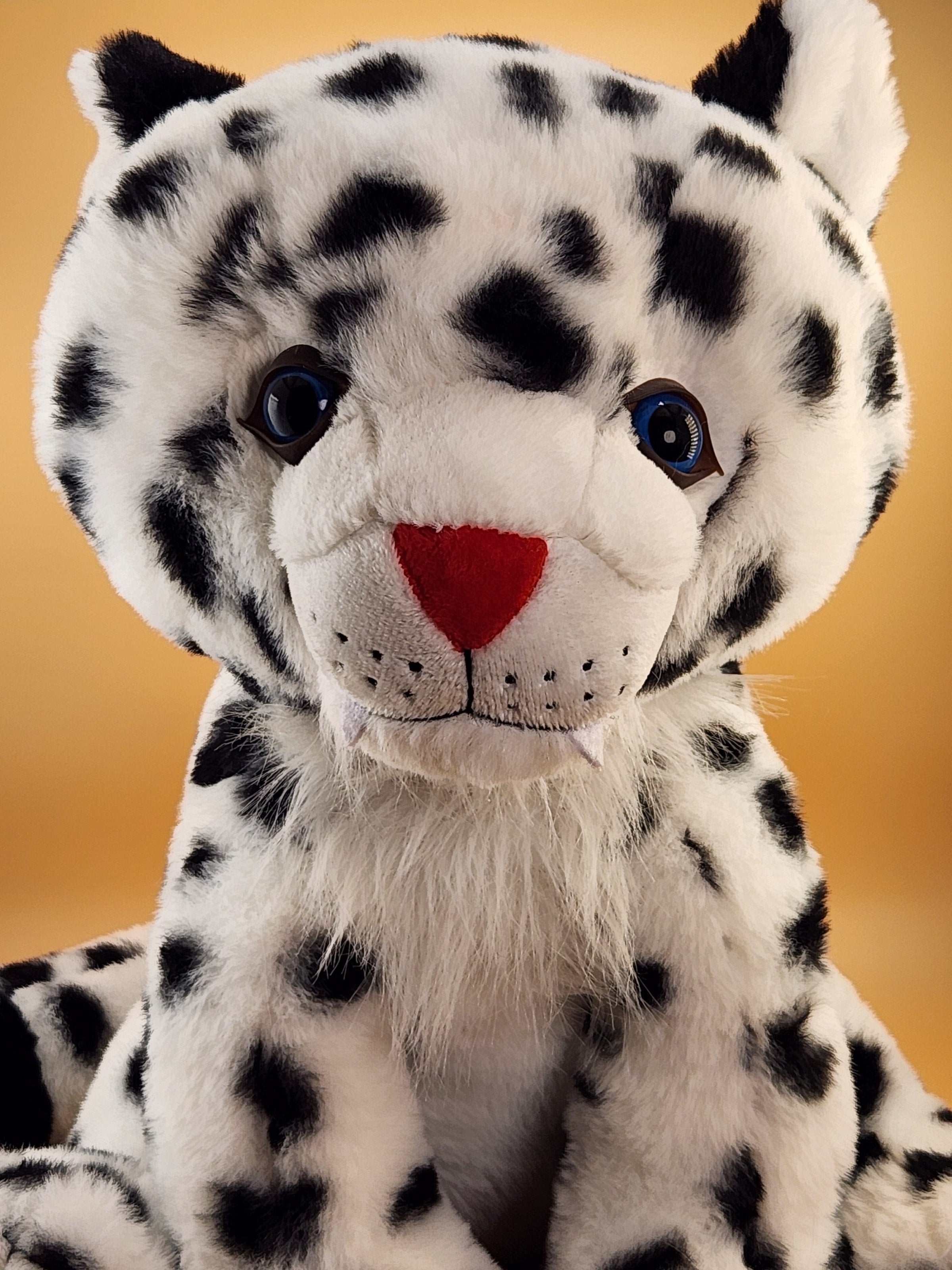 Tashi the Snow Leopard