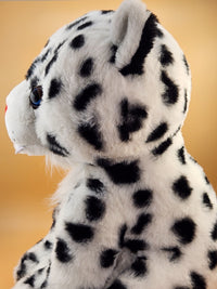Tashi the Snow Leopard