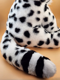 Tashi the Snow Leopard