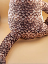 Paulie the Pangolin