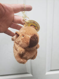 Capybara Stuffed Animals w/keychain