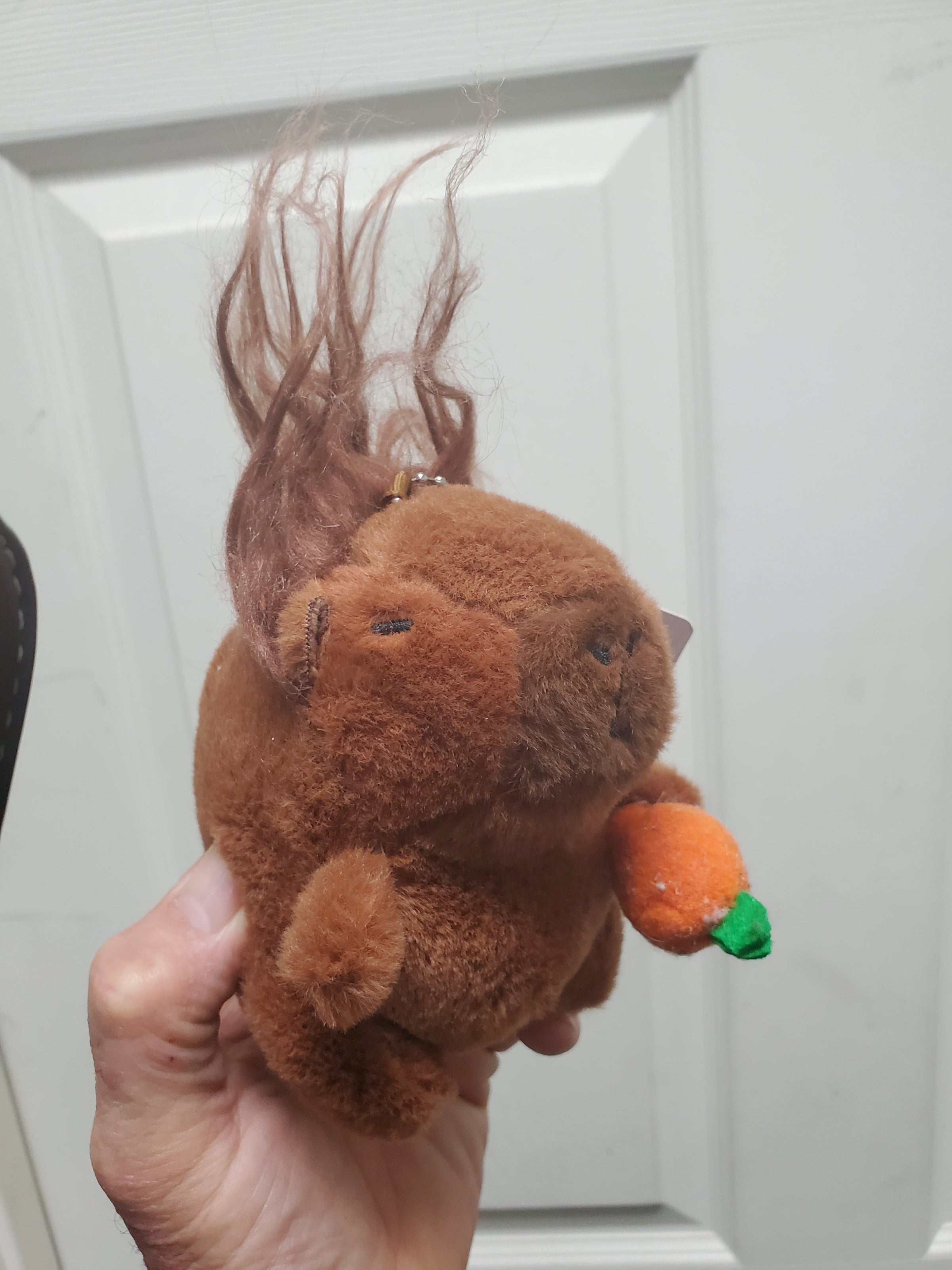 Capybara Stuffed Animals w/keychain