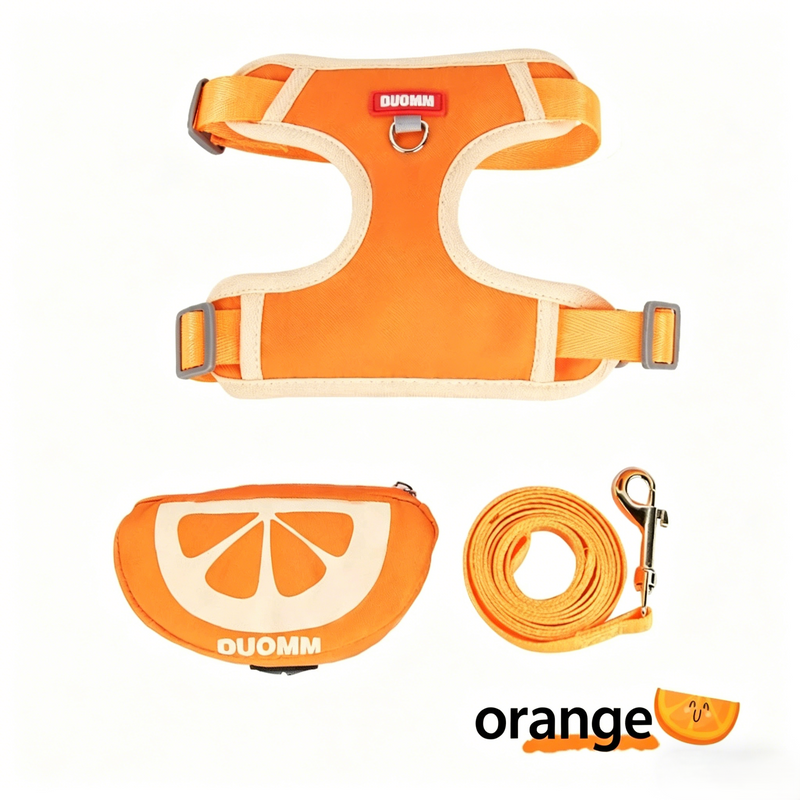 Orange Fruit Dog Harness and Leash Set with Mini Pouch-Pet Collars & Leashes-BIG FRENCHIES-Jane's Pet Boutique