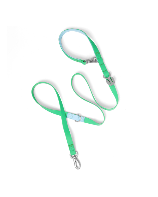 Waterproof Dog Leash - 5ft - BIG FRENCHIES