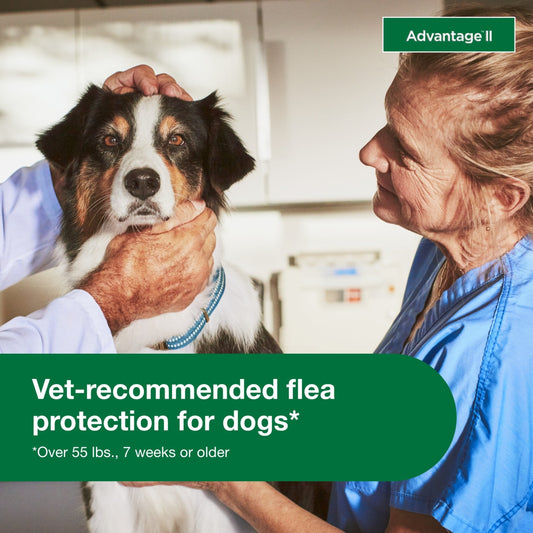 Flea Prevention for XL Dogs 55 Lbs+, 4-Monthly Treatments - BIG FRENCHIES