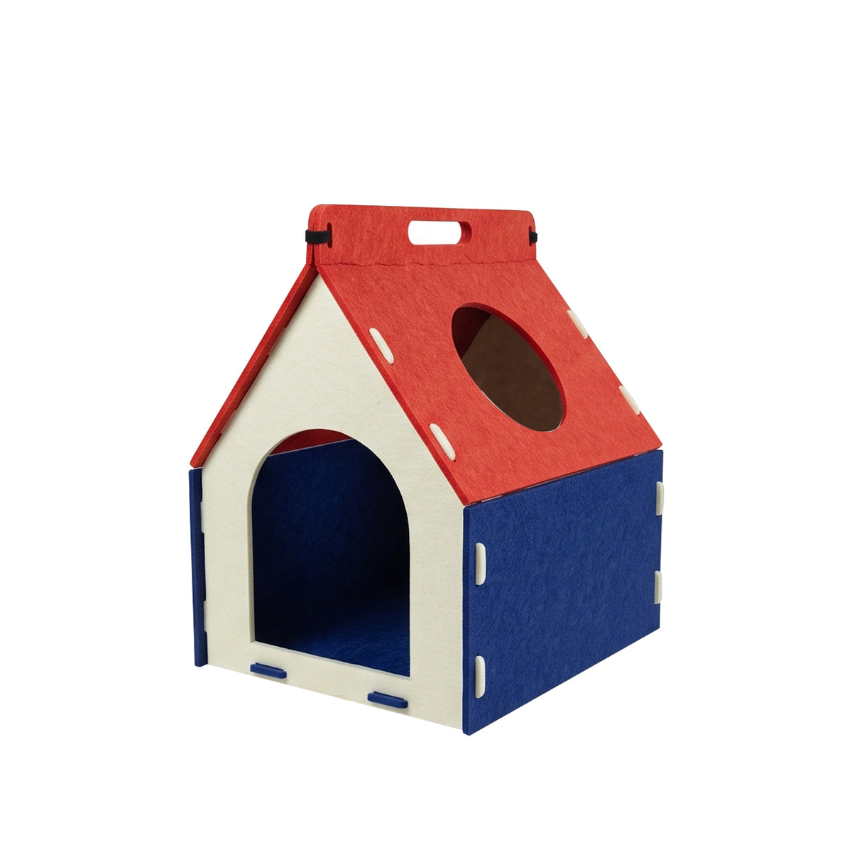Cat Carrying A House