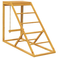 Chicken Activity Play/ Chicken Coop Toy