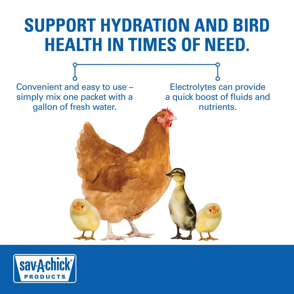 Sav-A-Chick Poultry Vitamins Electrolytes Bird Supplement Stress Relief 9PCK