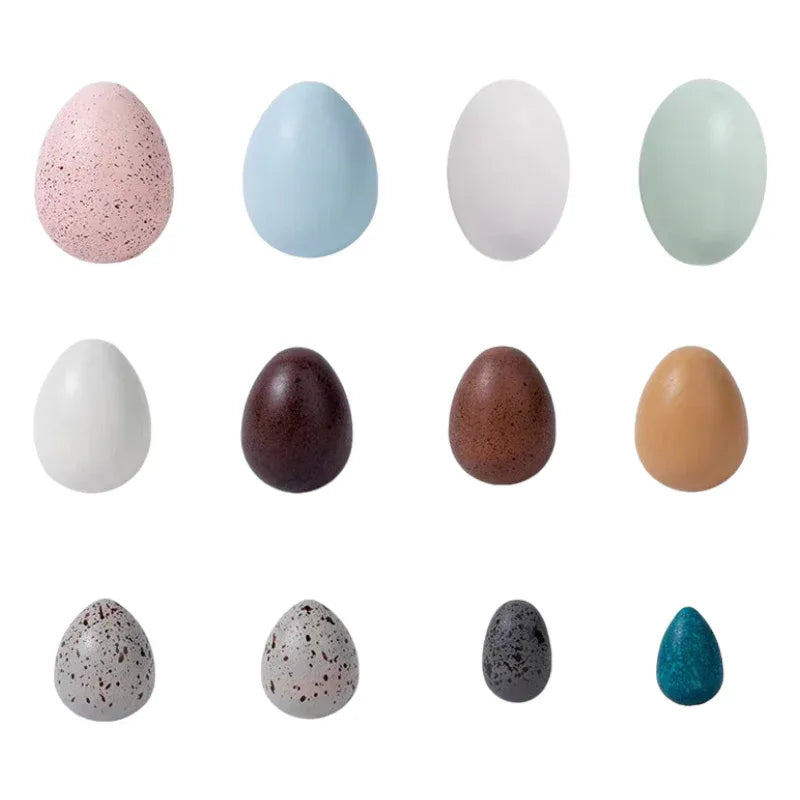 12-Piece Wooden Bird Eggs Set – Nature-Inspired Sensory & Pretend Play - BIG FRENCHIES
