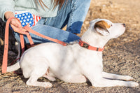 Quick-Release Style Leather Collar and Leash Set - BIG FRENCHIES