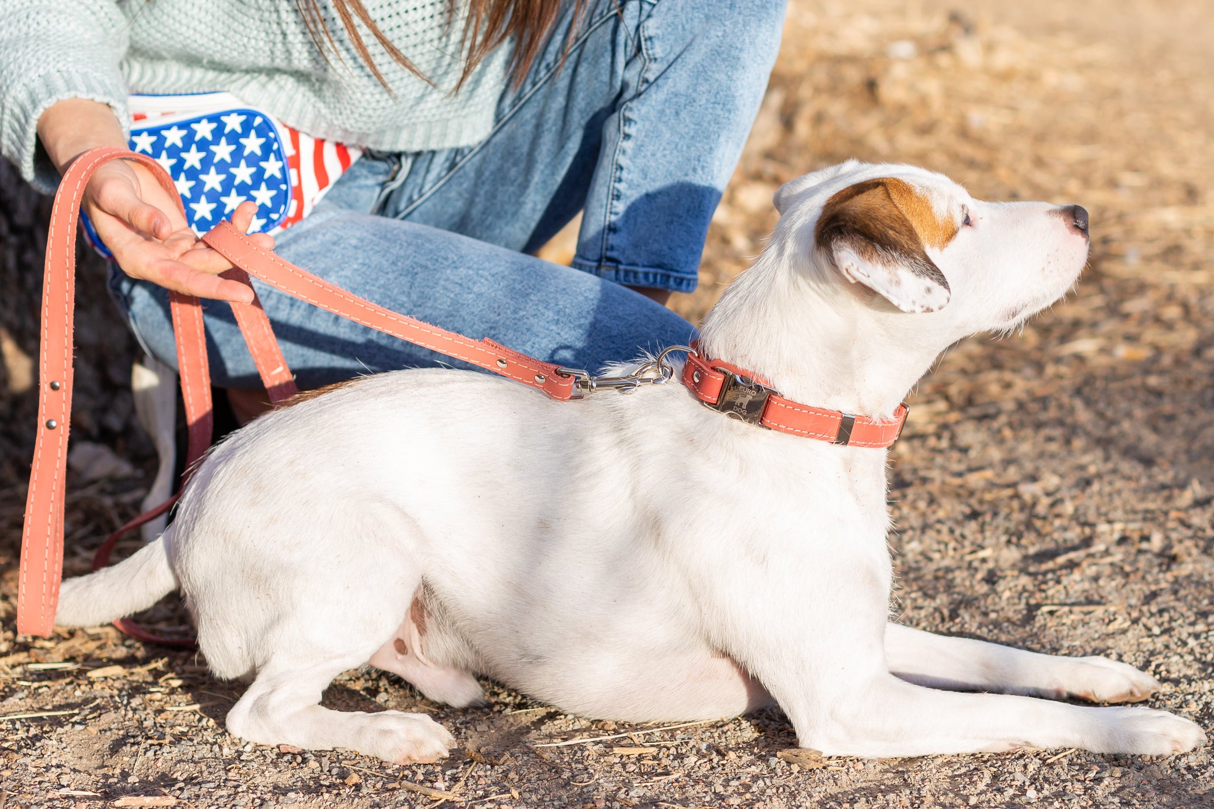 Quick-Release Style Leather Collar and Leash Set - BIG FRENCHIES