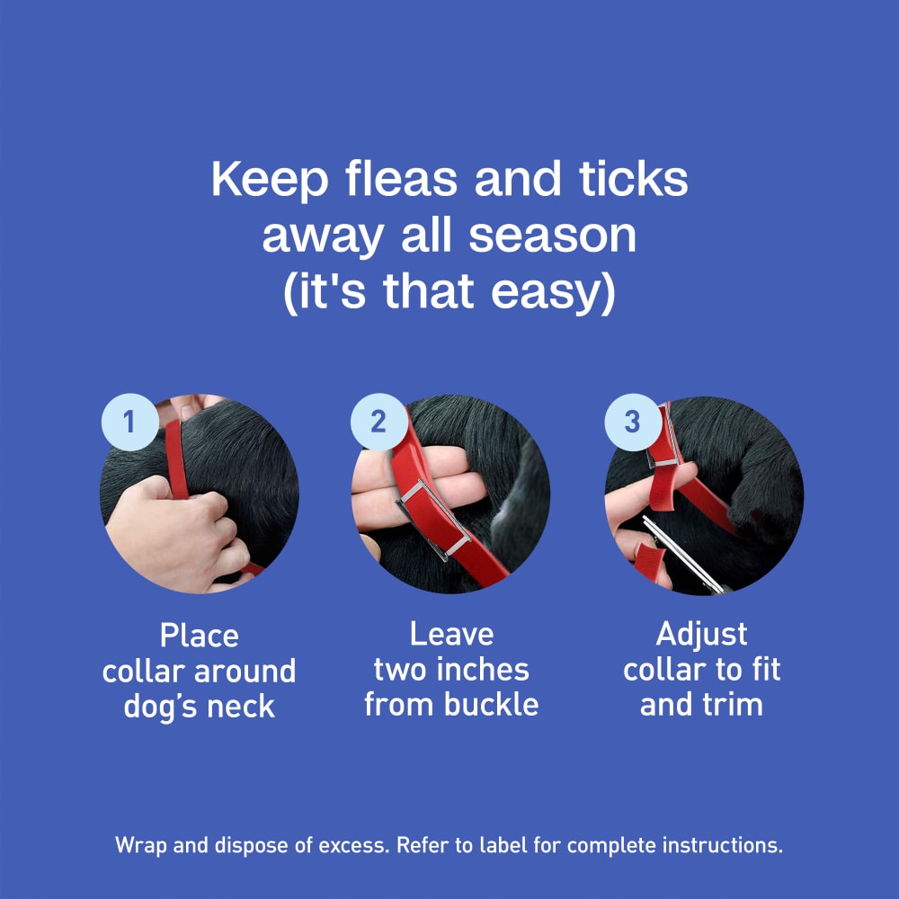 Adams Plus Flea & Tick Collar for Small Dogs & Puppies 7 Month Protection 3PK