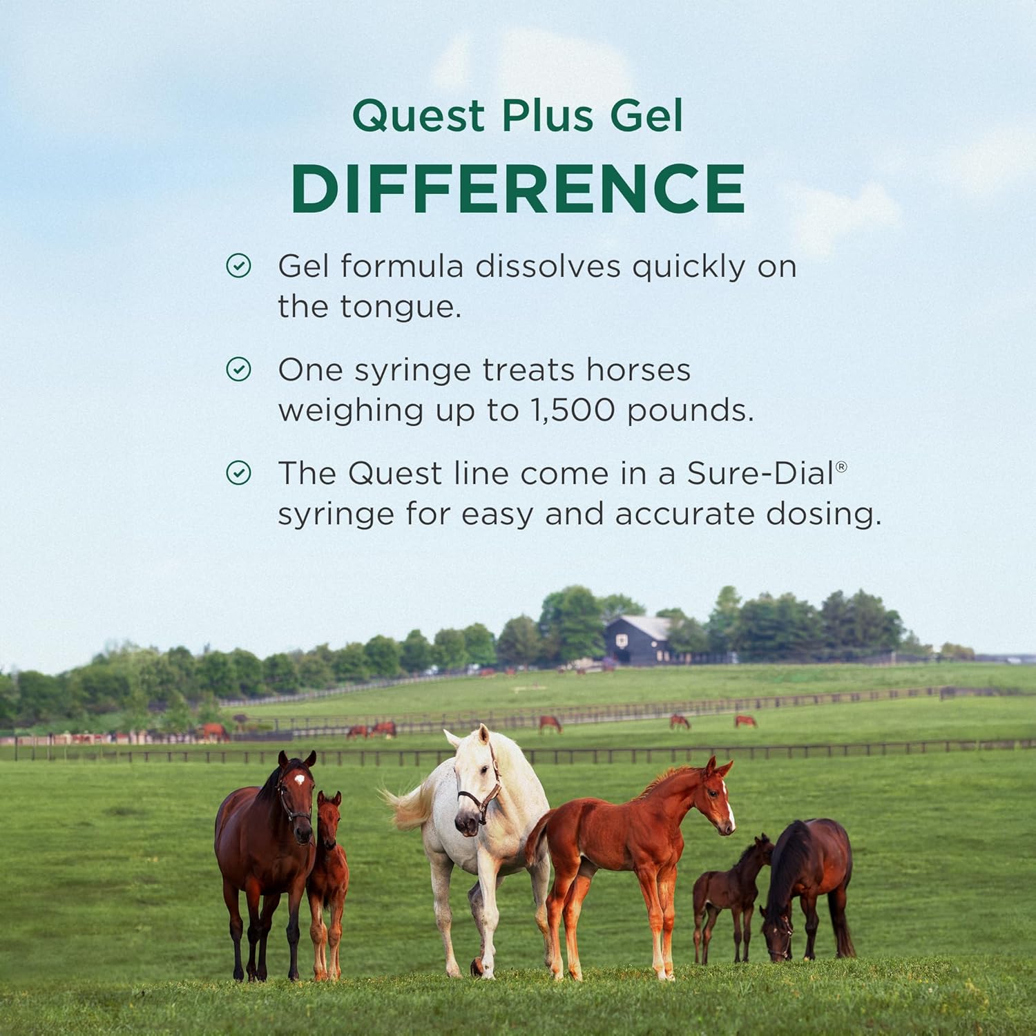 Zoetis Quest Plus Horse Wormer Gel Moxidectin Praziquantel Paste Tube
