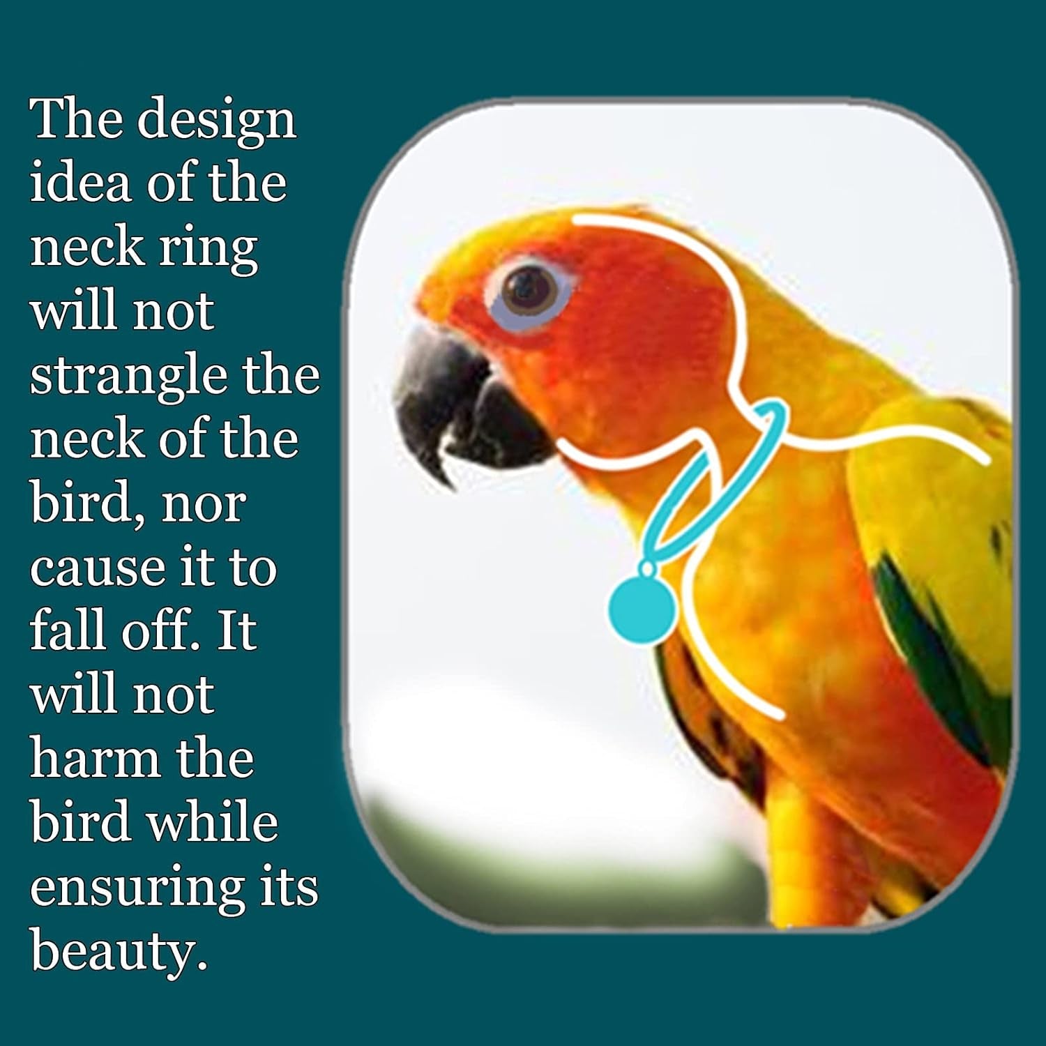 Parrot Bells Parrot Collar Necklace Parrot Decoration Parrot Scarf Clothes Budgerigar Peony Parrot Cockatiel Golden Sun Parrot - BIG FRENCHIES