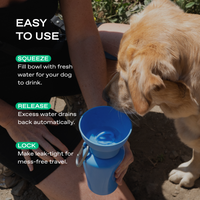 20oz Flip Dog Travel Water Bottle - BIG FRENCHIES