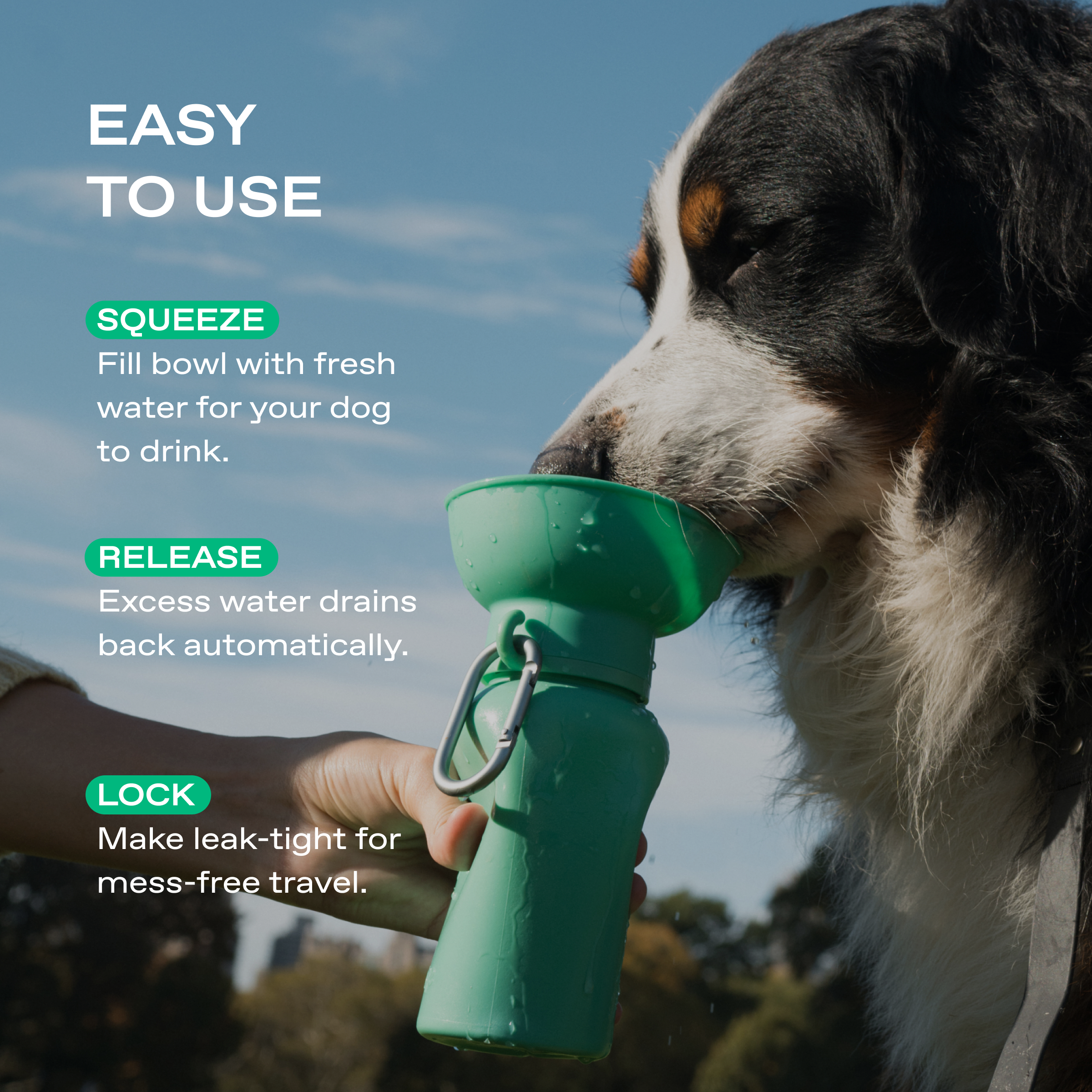 20oz Flip Dog Travel Water Bottle - BIG FRENCHIES