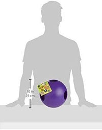 Jolly Pets Teaser Ball Dog Toy, Extra Large/10 Inches, Purple, X - Large/10 Inches (1510 PR)