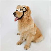 NAMSAN Clear Dog Goggles for Large Dogs, Wide Eyecup & Soft Frame, Anti-UV Sunglasses for Dogs Medium to Large Breed, Driving Dog Eye Protection, Windproof Dustproof, Adjustable, White Frame