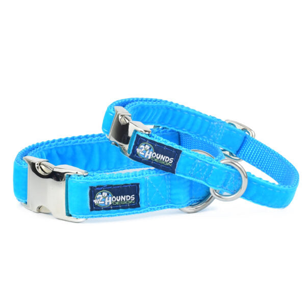 Turquoise Velvet Essential Dog Collar-Pet Collars & Leashes-BIG FRENCHIES-2 Hounds Design