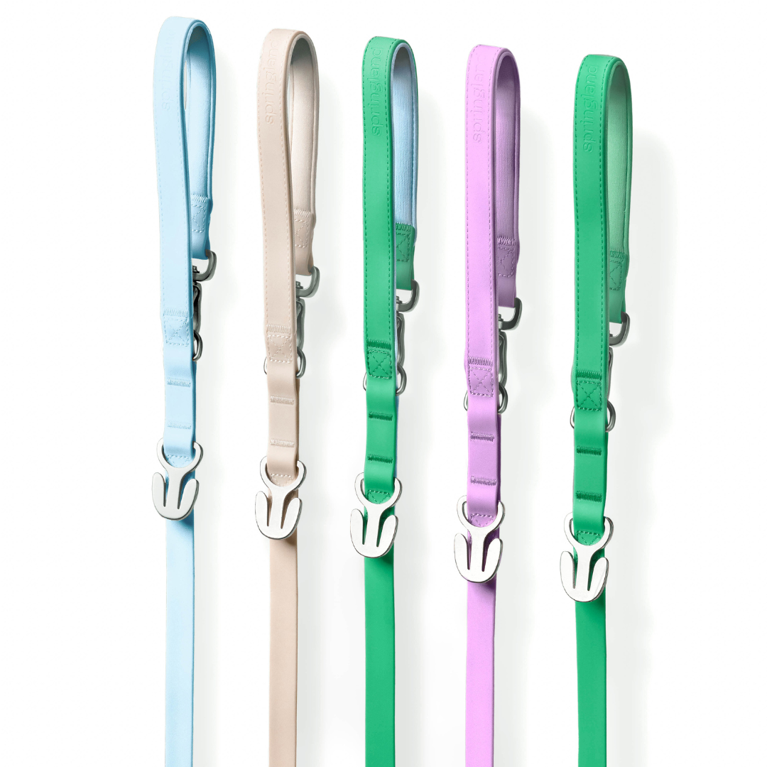 Waterproof Dog Leash - 5ft - BIG FRENCHIES