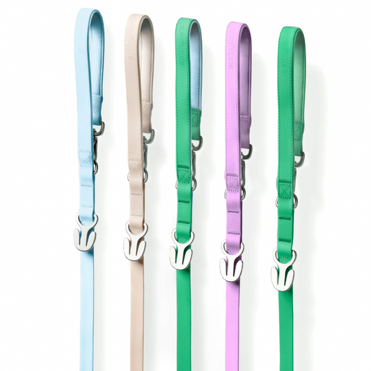 Waterproof Dog Leash - 5ft - BIG FRENCHIES