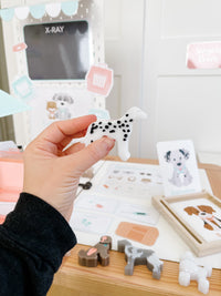 Vet Clinic Dramatic Play