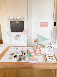 Vet Clinic Dramatic Play