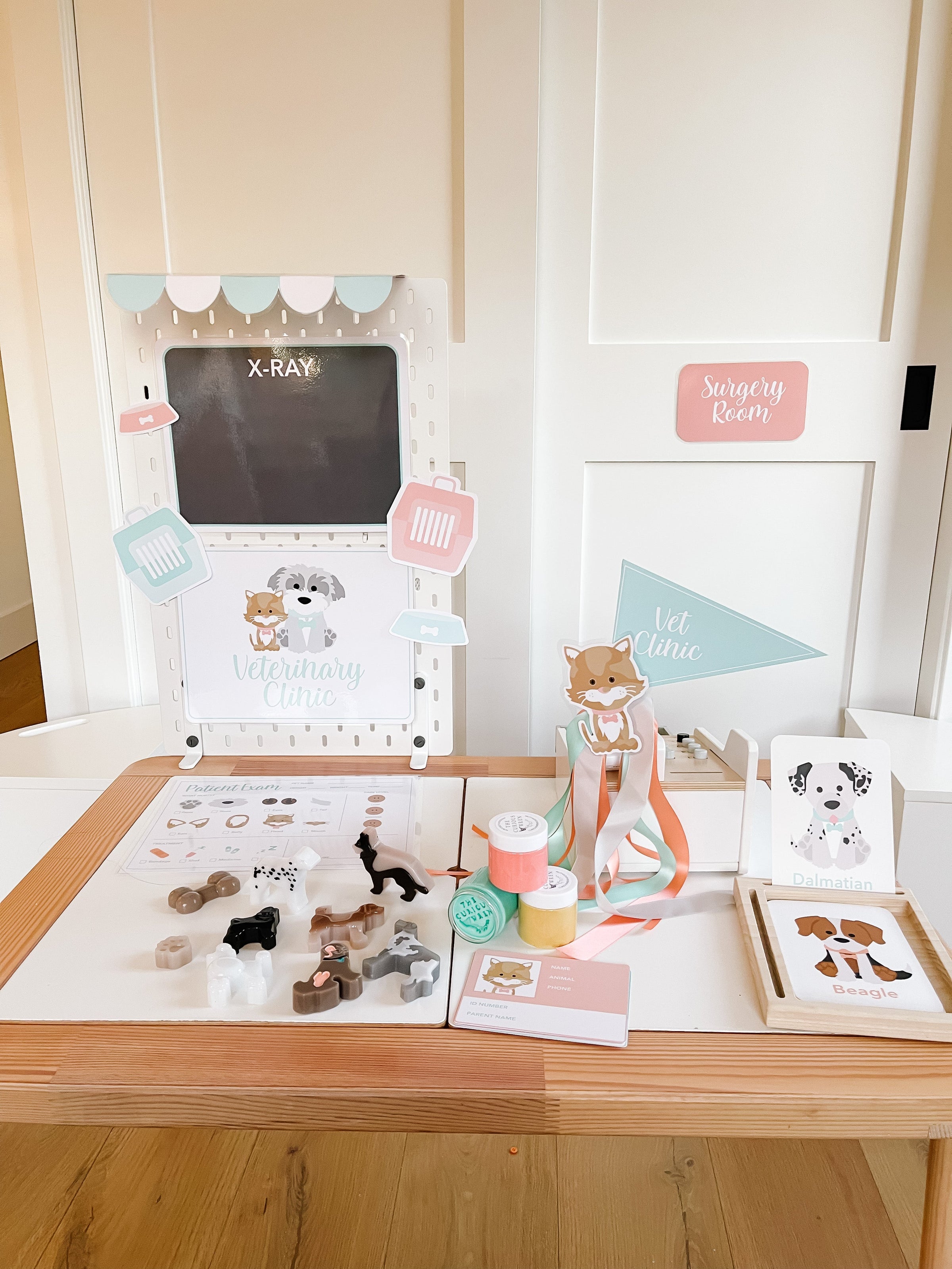 Vet Clinic Dramatic Play