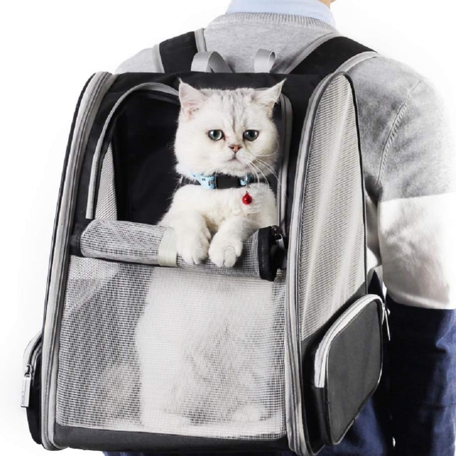 Traveler Bubble Backpack Pet Carriers For Cats And Dogs
