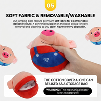 Interactive Jumping Pig Toy Ball