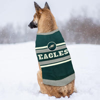 Official NFL Dog Sweater – All Teams & Sizes