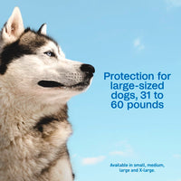 Adams Complete Indoor & Outdoor Flea Treatment System for Large Dogs 31–60 lbs Bundle