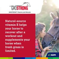 ADM Grostrong Horse Feed Vitamin & Mineral Nutrition 25 lbs.