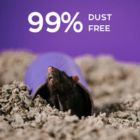 99% Dust-Free Natural Paper Small Pet Bedding with Odor Control, 30 L - BIG FRENCHIES