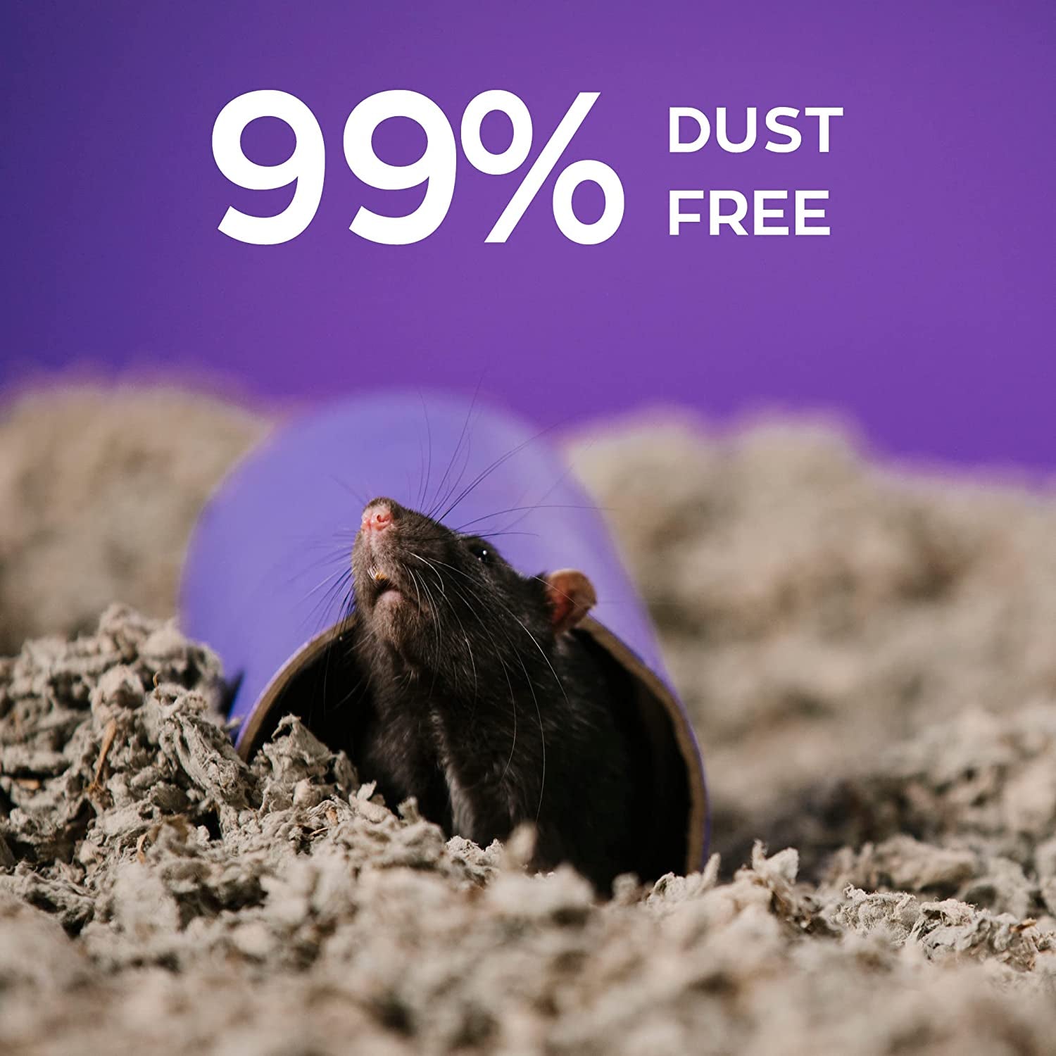 99% Dust-Free Natural Paper Small Pet Bedding with Odor Control, 30 L - BIG FRENCHIES