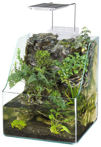 1.85 Gallons Glass Aquarium for Live Plants and Fish - BIG FRENCHIES