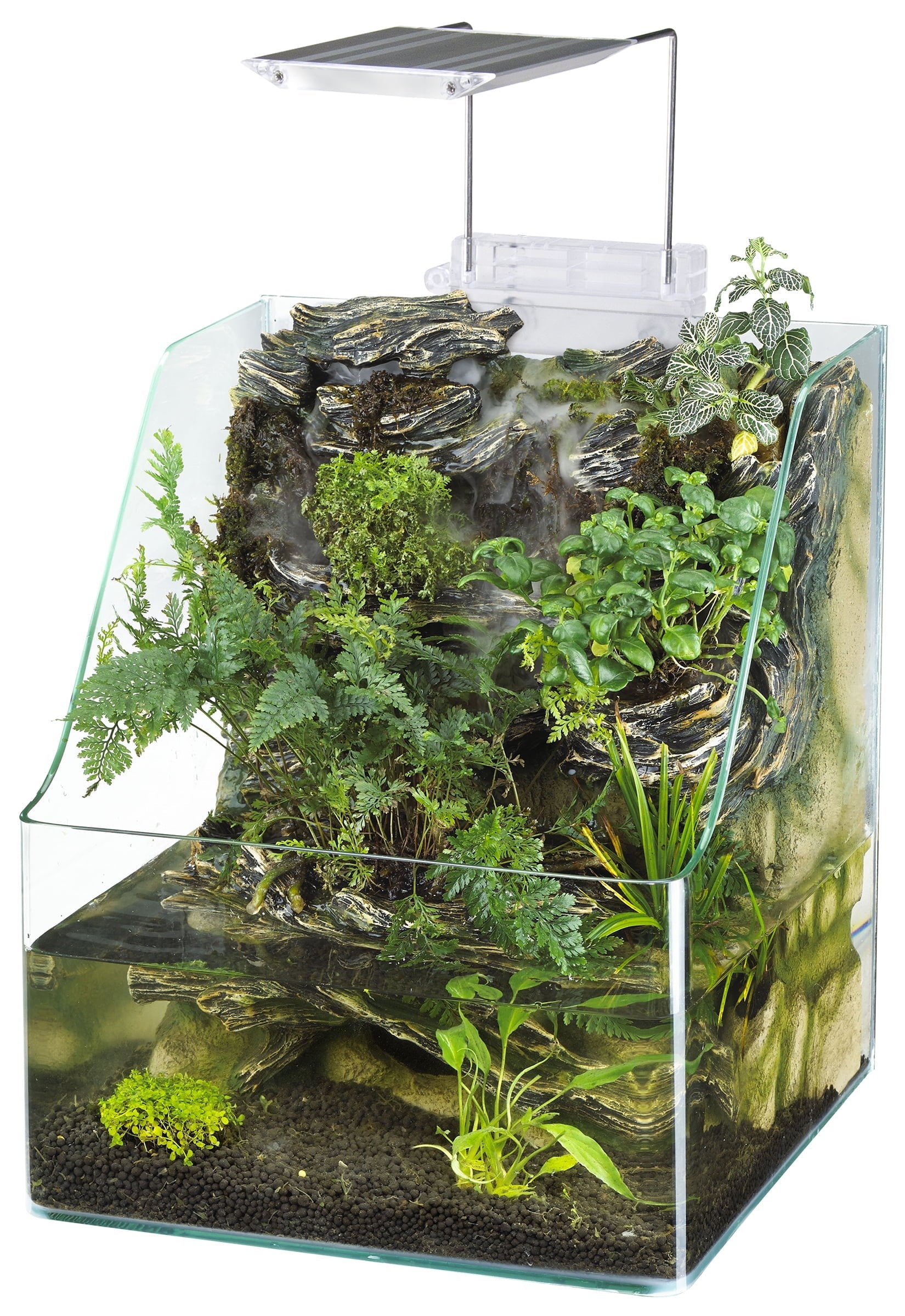 1.85 Gallons Glass Aquarium for Live Plants and Fish - BIG FRENCHIES