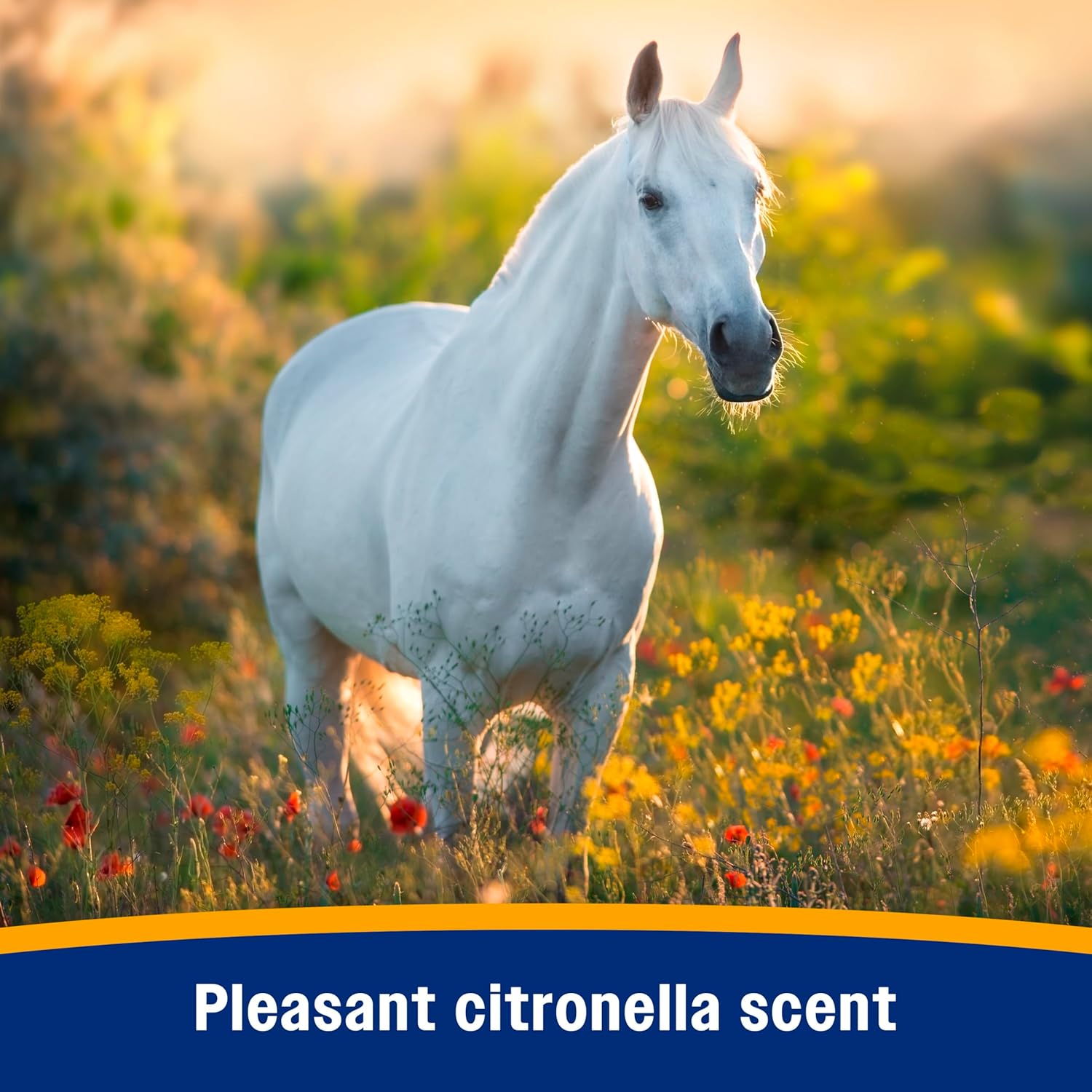 Farnam Bronco Equine Fly Spray Plus Citronella Repellent for Horses & Dogs 32 oz.