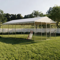 10x20 FT Large Outdoor Dog Kennel with Canopy, Heavy Duty Galvanized Steel Frame, Waterproof Cover, All-Weather Protecti