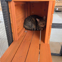 Large Outdoor Cat Enclosure Catio with 5 Platforms & 2 Napping Houses, Secure Metal Wire, Easy Assembly for Indoor & Out