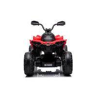 24V Can-Am Renegade 1-Seater Kids ATV - BIG FRENCHIES