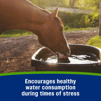 Farnam Apple Elite Electrolyte Paste for Horses Hydration Support Apple Flavor 60 cc