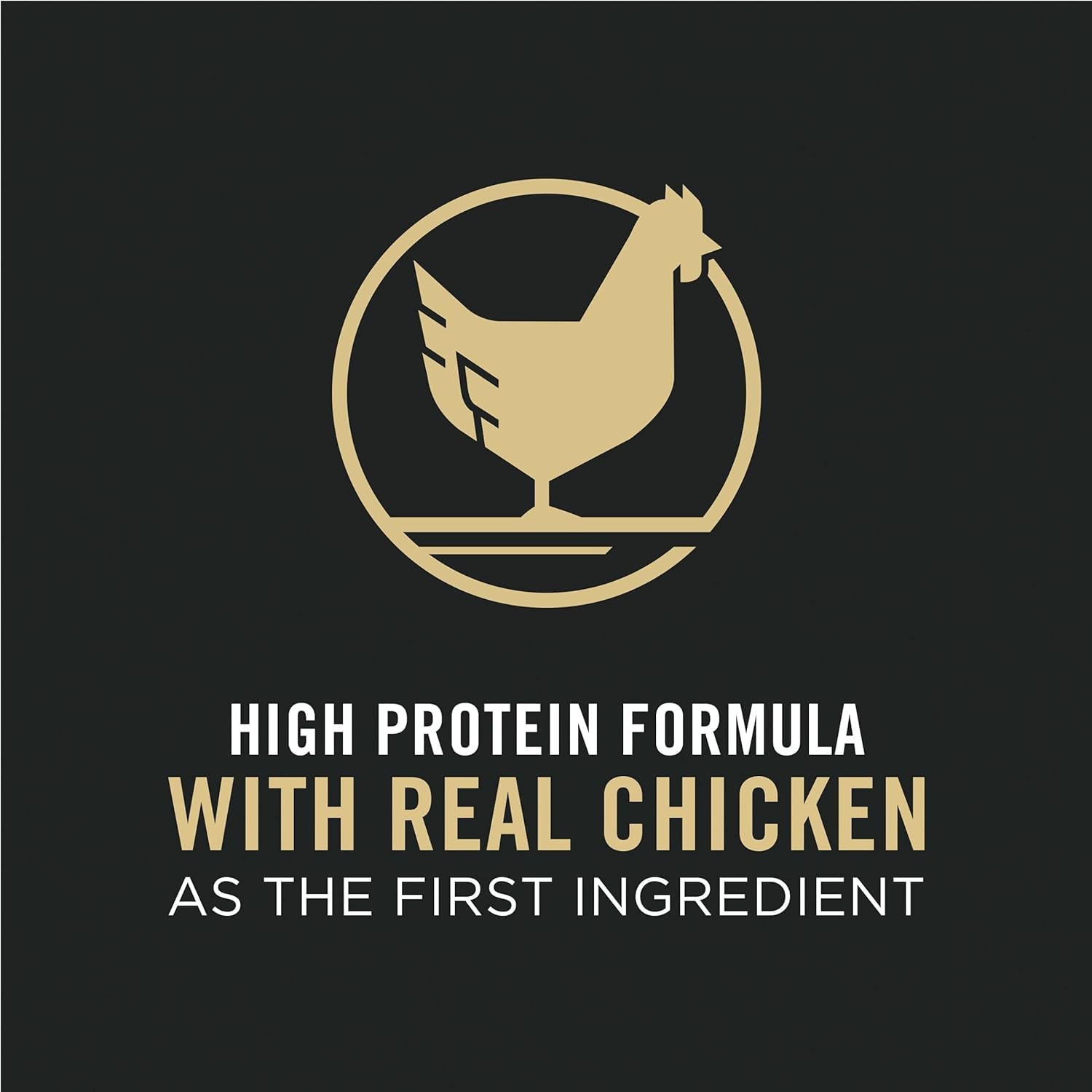 High Protein Cat Food - BIG FRENCHIES