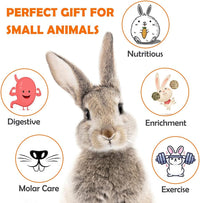 Rabbit Toys Bunny/Guinea Pig Toys Natural Timothy Hay Hamster Toys for Teeth Handmade Chews and Treats Apple Wood Sticks Chinchilla Rat - BIG FRENCHIES